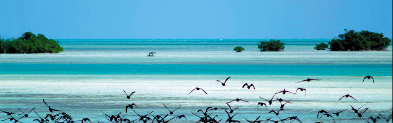 Cayo Largo