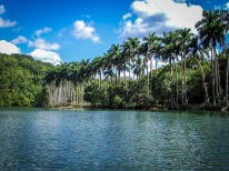 Matanzas