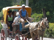 Bayamo
