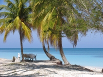 Cayo Levisa