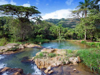 Excursion a Soroa: soroa