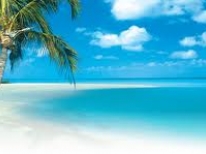 Excursión a Cayo Coco