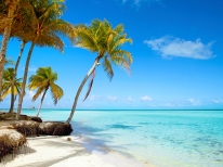  Excursion Varadero con Almuerzo: Cuba