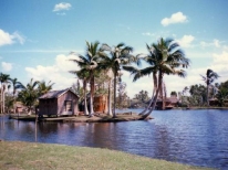 Excursion a Guamá: Guamá