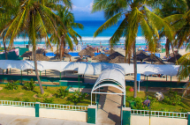 Hotel Los Delfines - Delfines